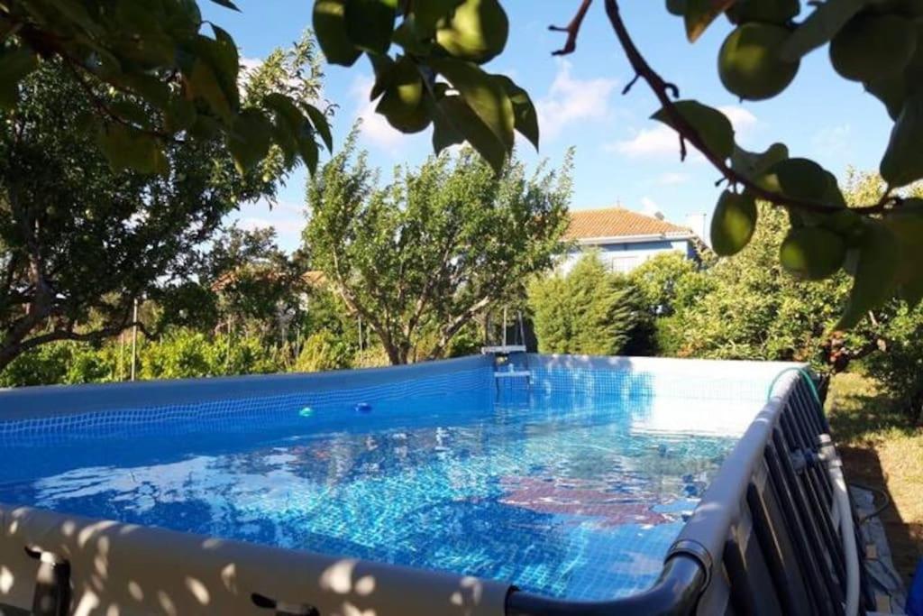 Casa Azul Tomar Prive Vakantiehuis Eksteriør bilde